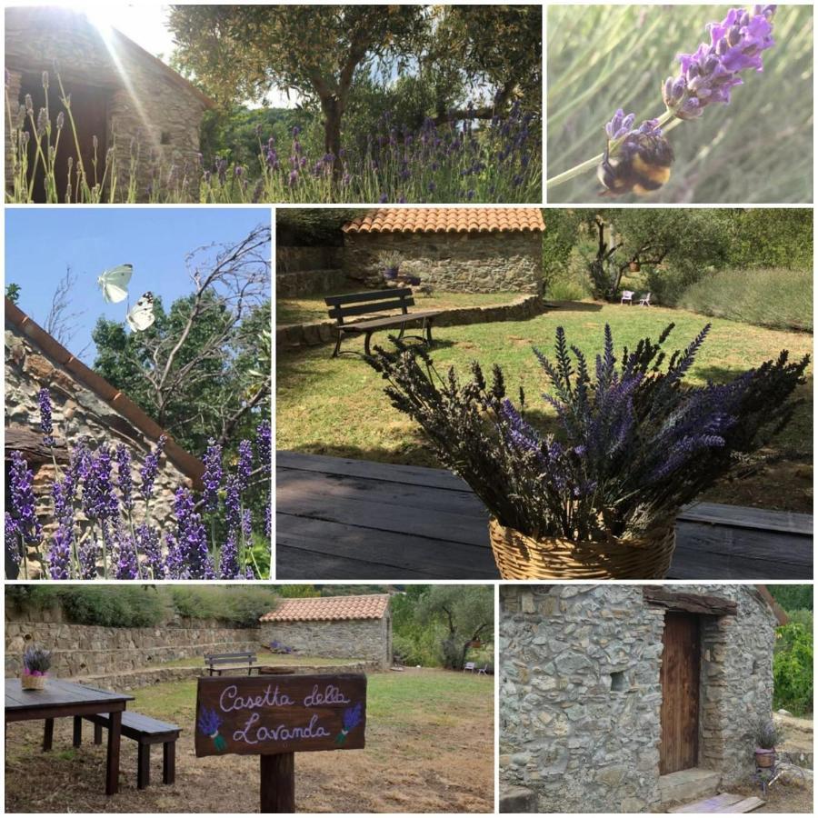 Agri Art Villa San Benedetto Ullano Exterior photo